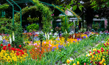 Monet's garden in Giverny