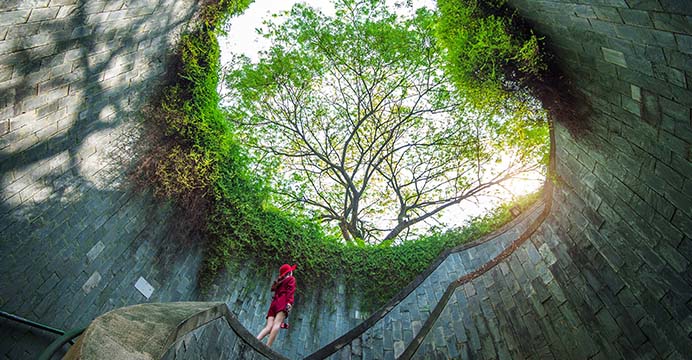 explore singapore your way