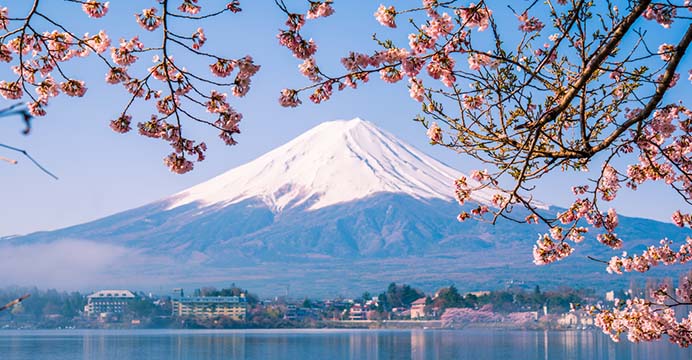 Morning arrival in the morning to Japan Tokyo