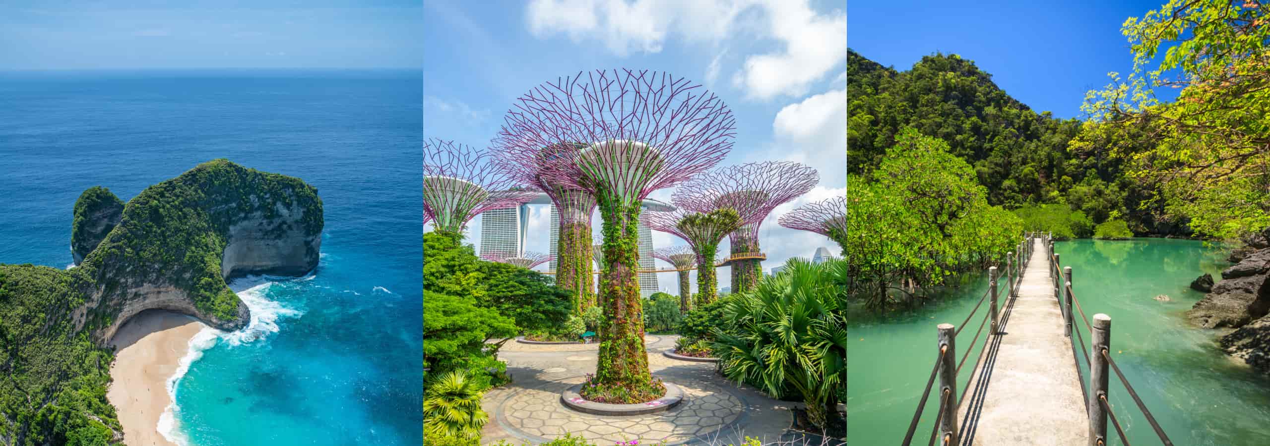 春日焕新，惠选启程| 新加坡航空