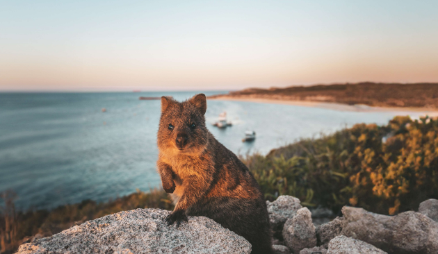 Perth