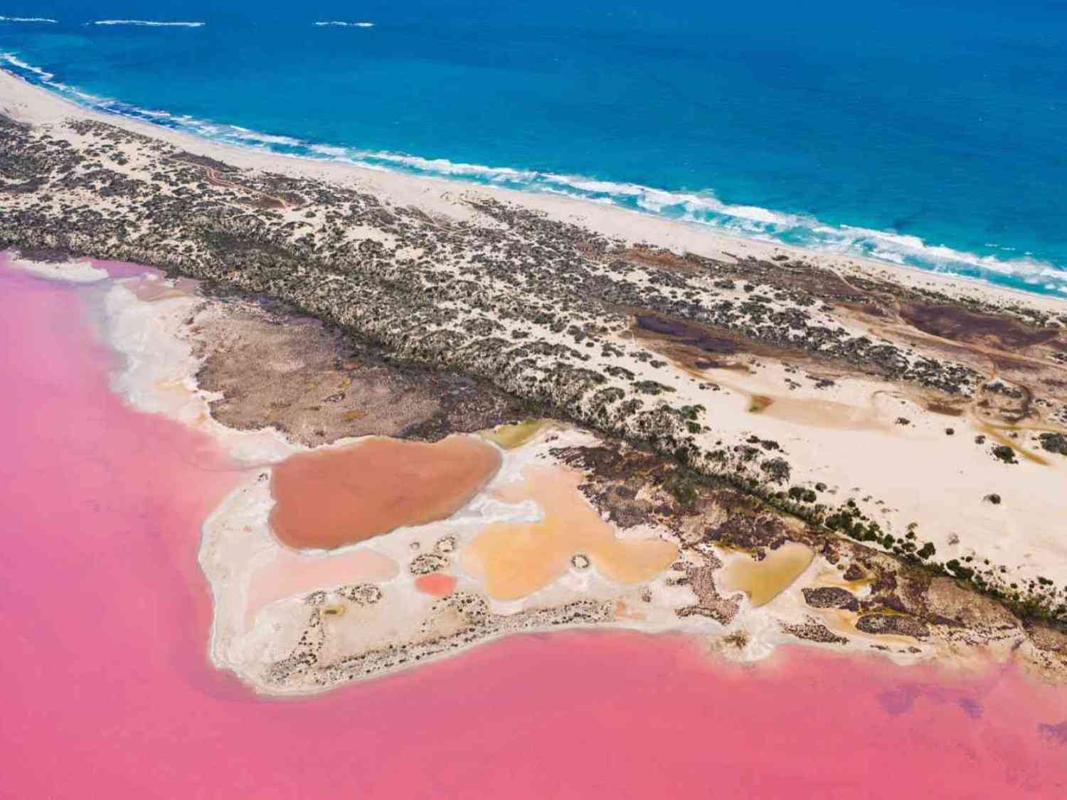 Hutt Lagoon (Pink Lake)