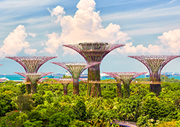 Gardens by the Bay