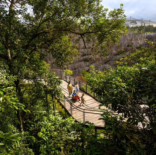 Rainforest Wild ASIA