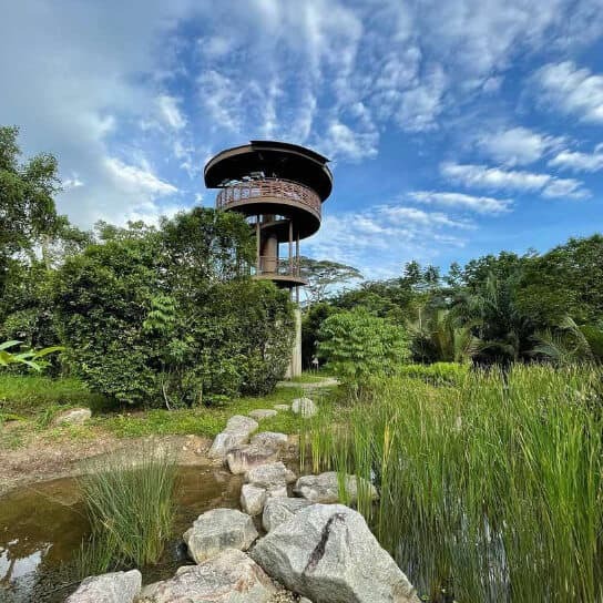 Rainforest Wild ASIA