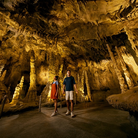 Rainforest Wild ASIA