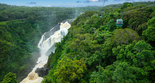 Skyrail Rainforest Cableway