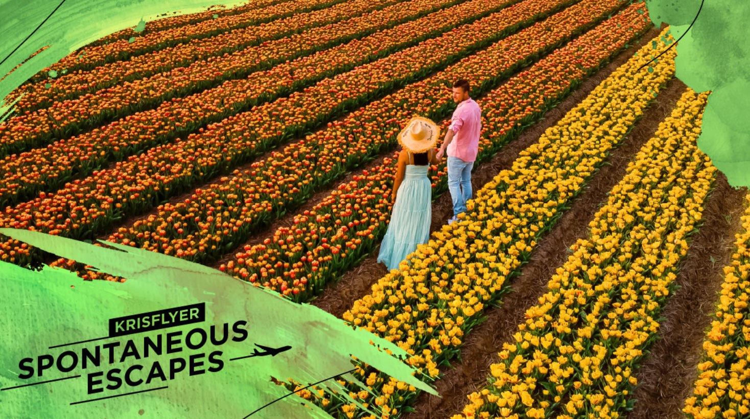 크리스플라이어 보너스 항공권