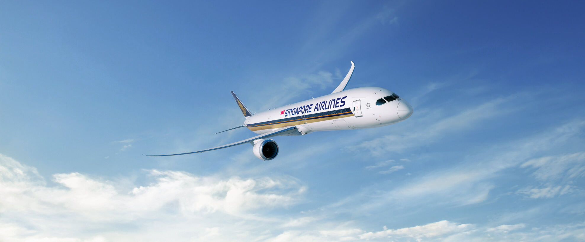 Wide-body aircraft, Boeing 787-10 Dreamliner in Nepal