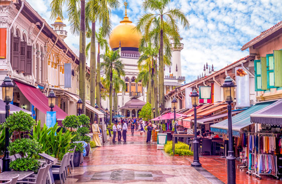 Free Singapore tour