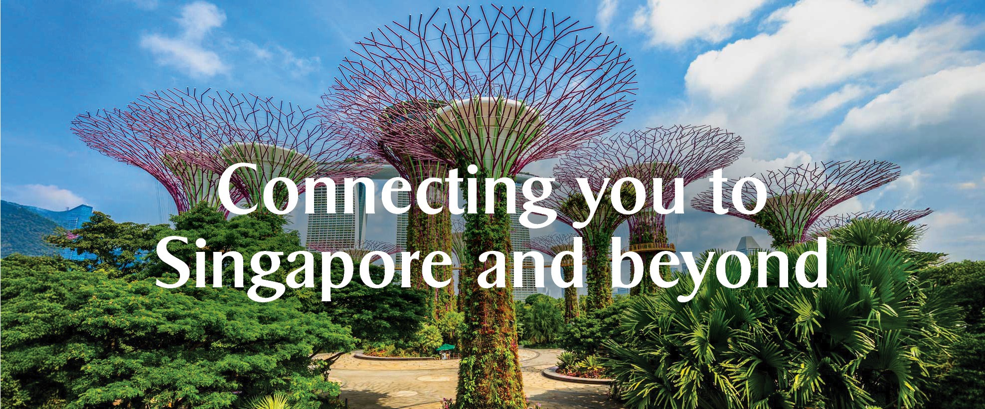 Celebrating 10 years of partnership with Air New Zealand