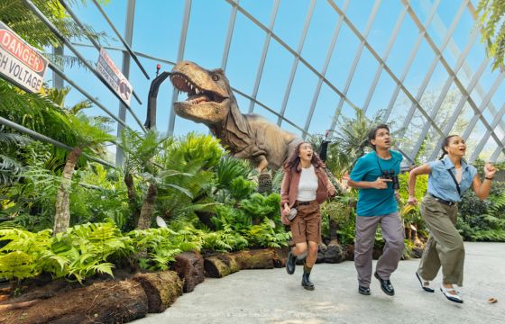 Disney Garden of Wonder