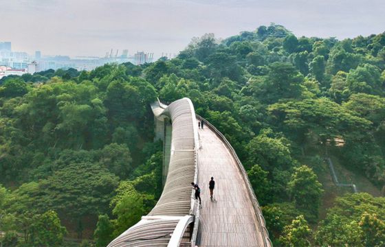Singapore's Green Spaces