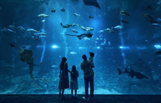 Singapore-Oceanarium