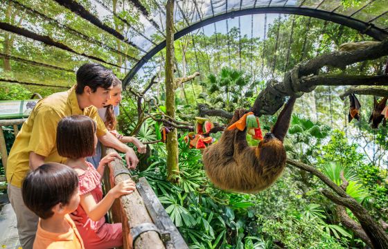 Singapore-Zoo