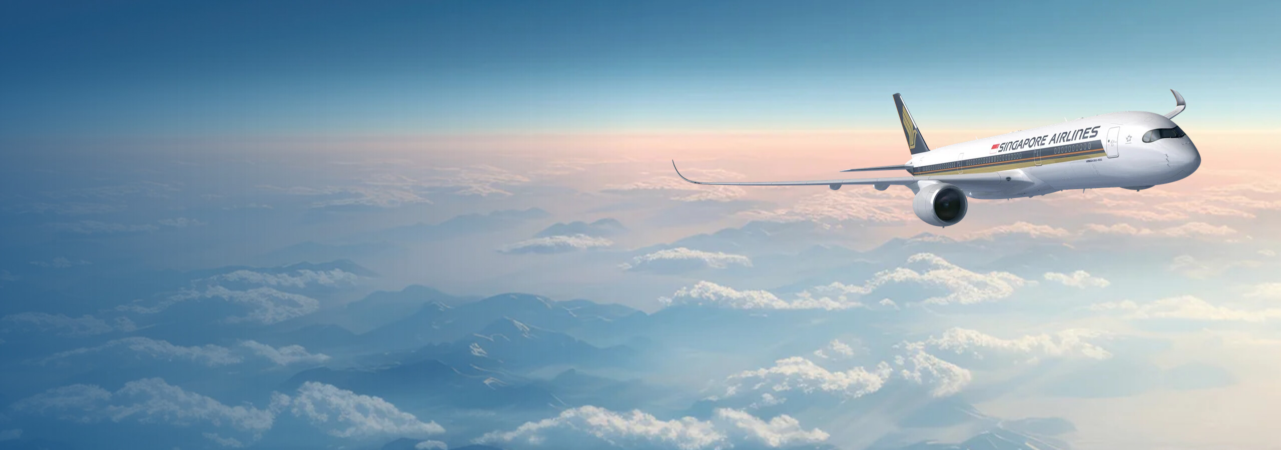Flight offers