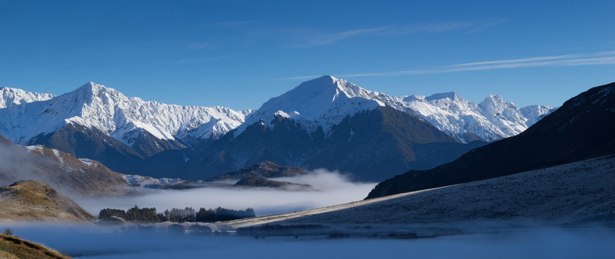 Tripartite-hero-image