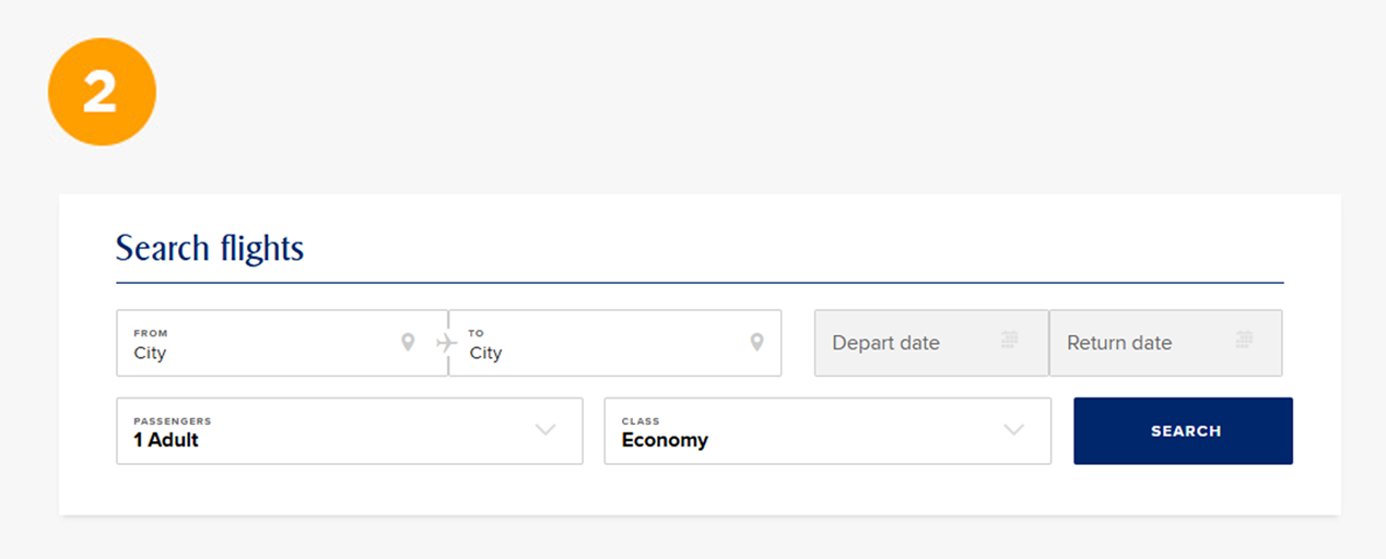 Step 2: Search for flight on the promo code page