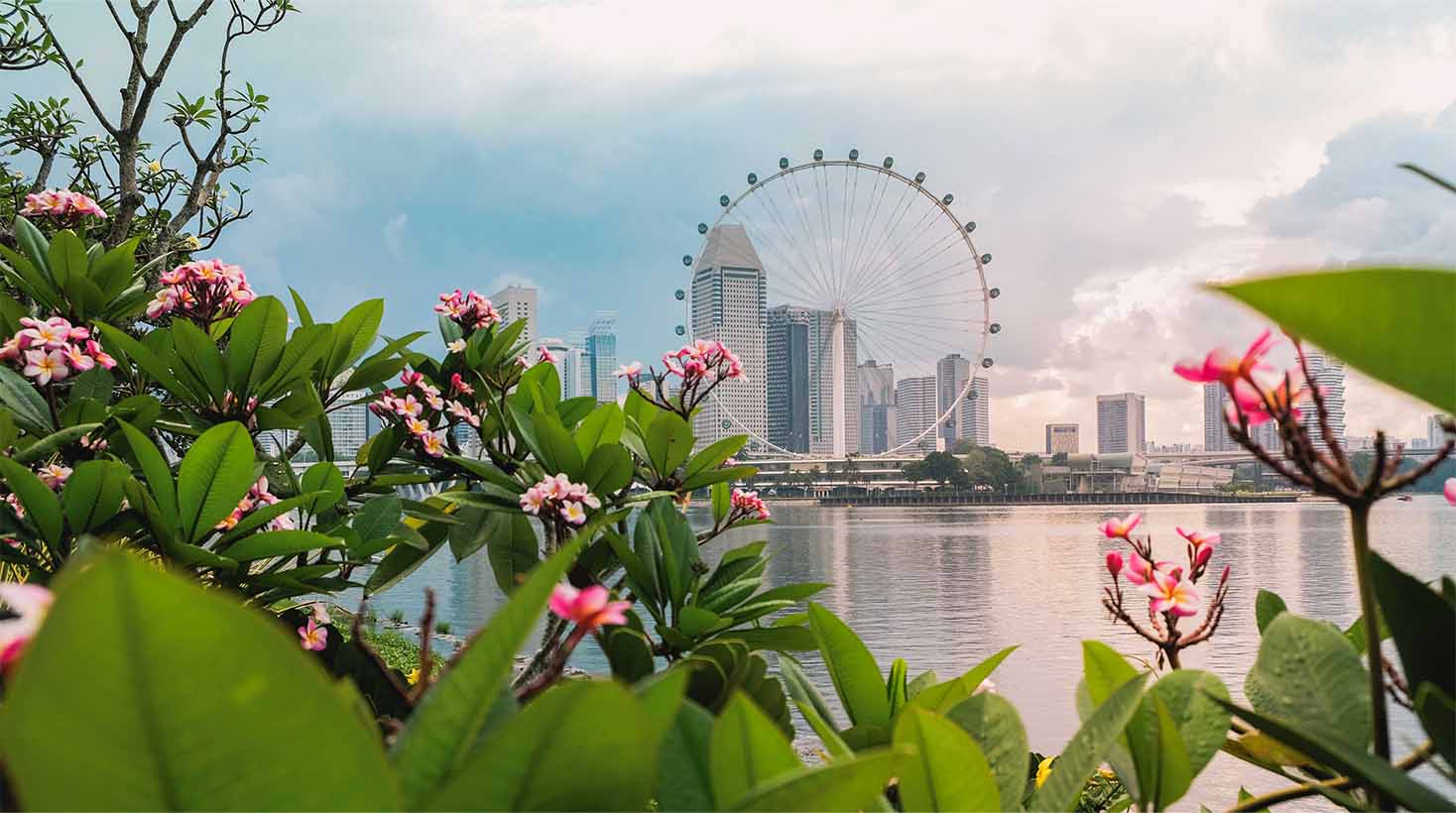 Flugangebote von Singapore Airlines