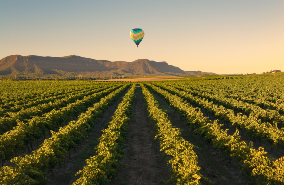 Hunter valler balloon