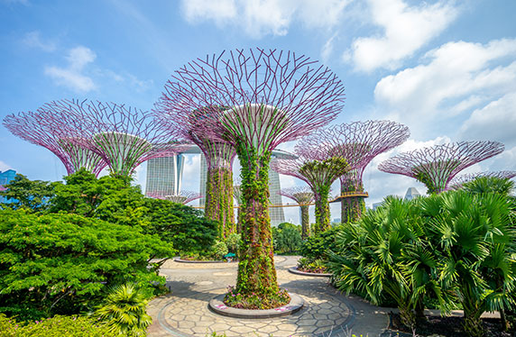 Changi