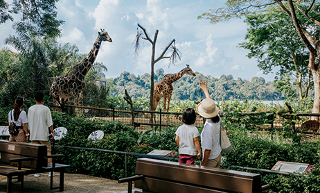 Mandai Wildlife Reserve