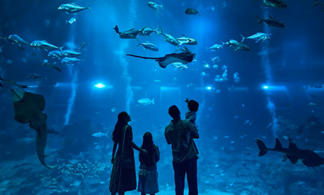 Singapore Oceanarium