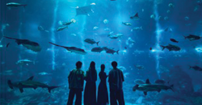 Sentosa Fun Discovery Pass