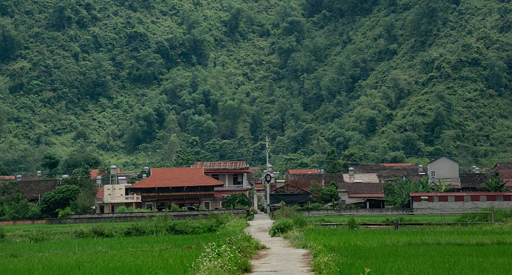 The SIA Group Voluntary Carbon Offset Programme 