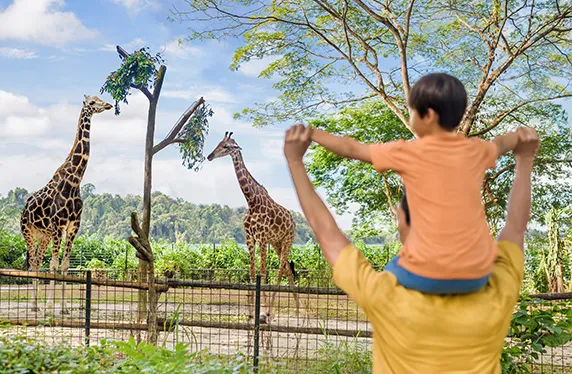 シンガポール動物園