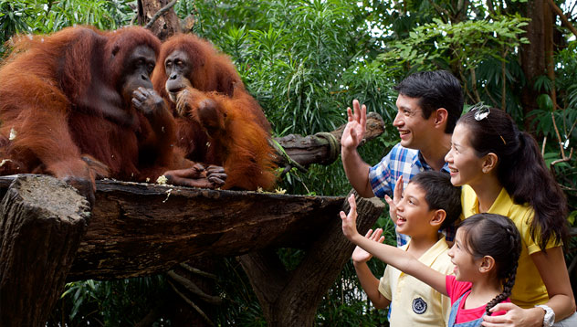 Singapore Explorer Pass